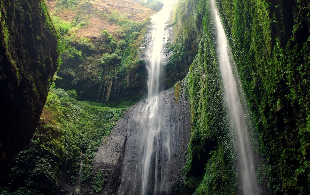 A cave at the foot of a waterfall. Soft currents of water fall down mossy green rock that extends heavenward, nourishing the eye. Love you!